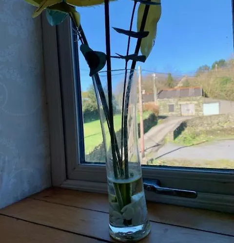 ベッド・アンド・ブレックファスト The Old Medical Hall