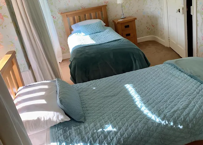 The Old Medical Hall キャッスルタウンベア