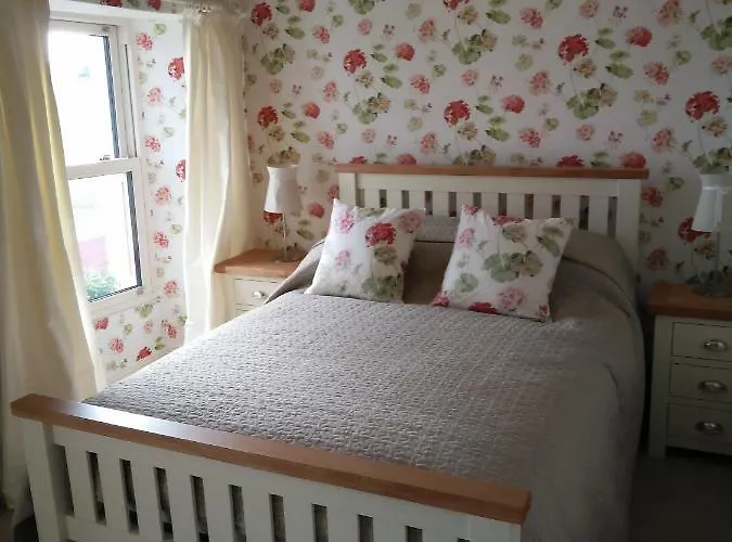 The Old Medical Hall キャッスルタウンベア